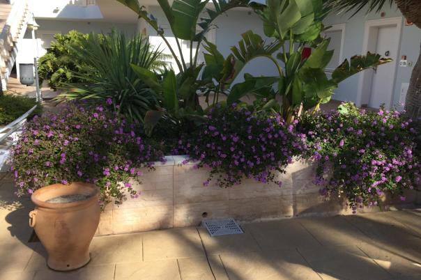 2 bed apartment in Benissa