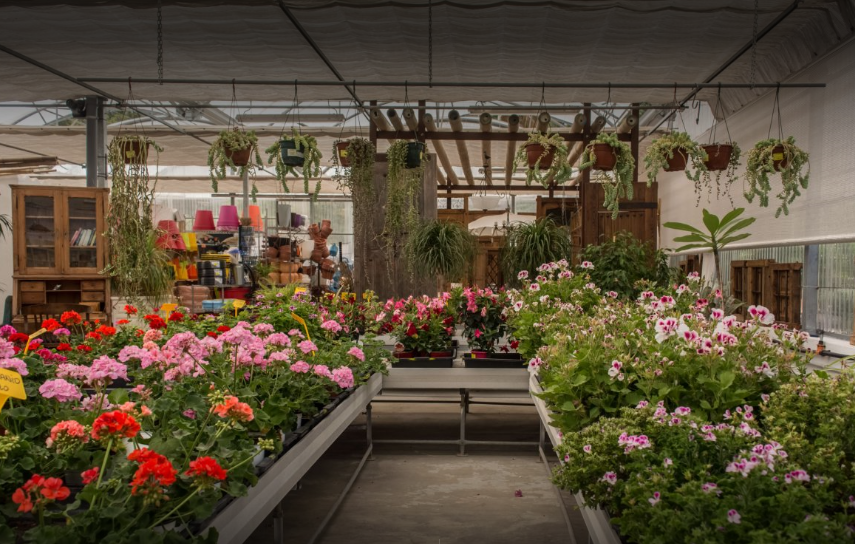 Trosset Renova - Garden Centre Moraira, Garden Landscaping & Home Design