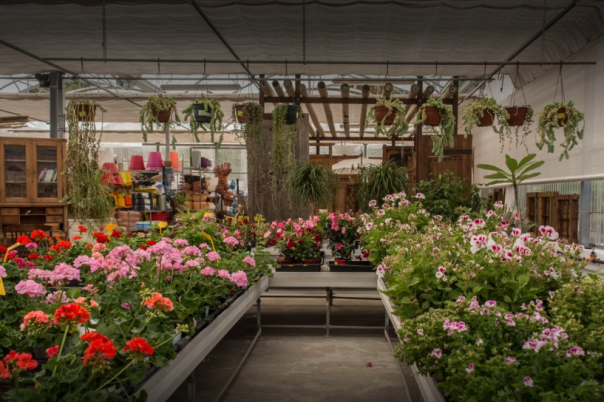 Trosset Renova - Garden Centre Moraira, Garden Landscaping & Home Design