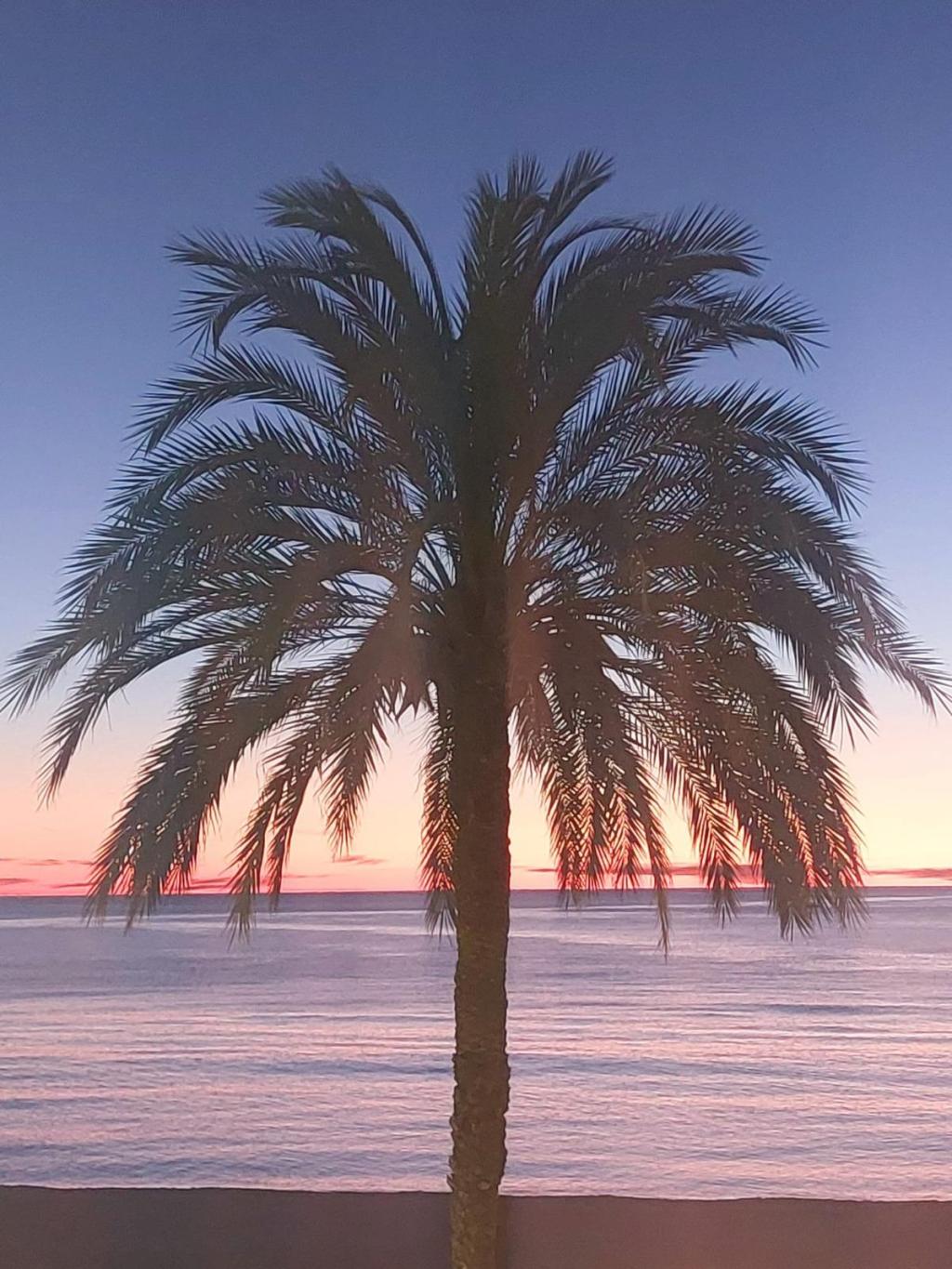 2 bed apartments - flats in Altea