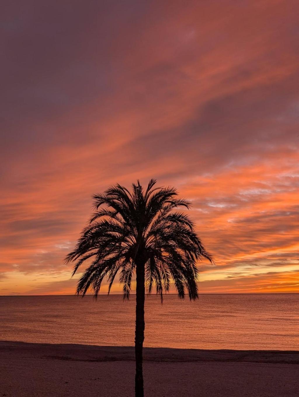 2 bed apartments - flats in Altea