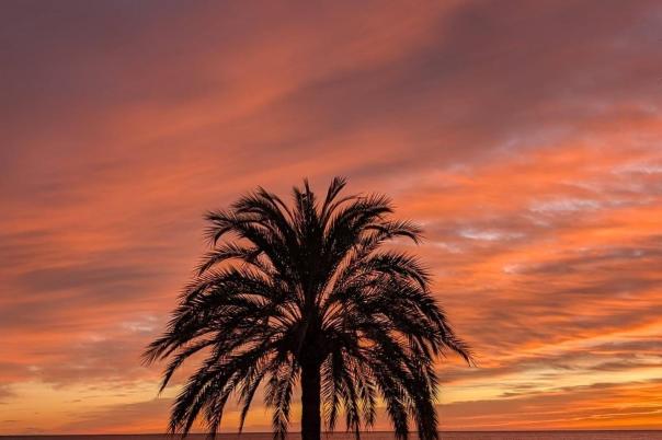 2 bed apartments - flats in Altea