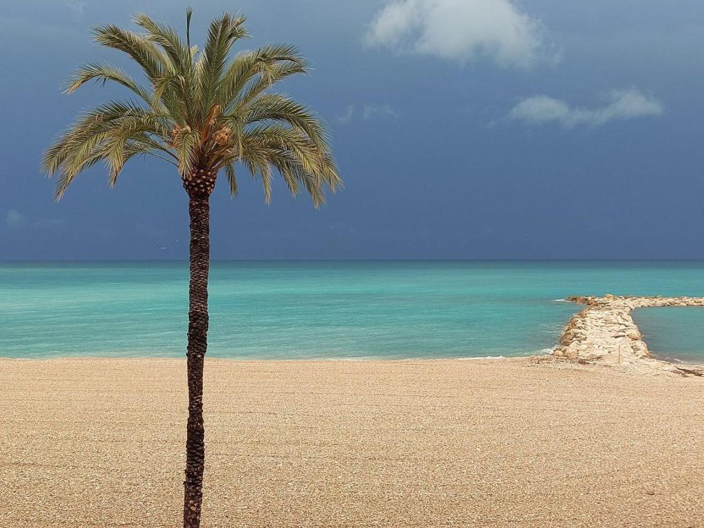 2 bed apartments - flats in Altea