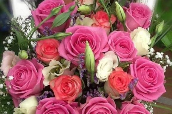 Mayflower Flores y Plantas - Florist - Floristeria Javea