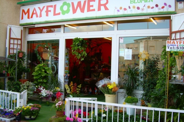 Mayflower Flores y Plantas - Florist - Floristeria Javea