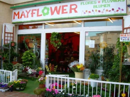 Mayflower Flores y Plantas - Florist - Floristeria Javea