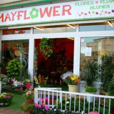 Mayflower Flores y Plantas - Florist - Floristeria Javea