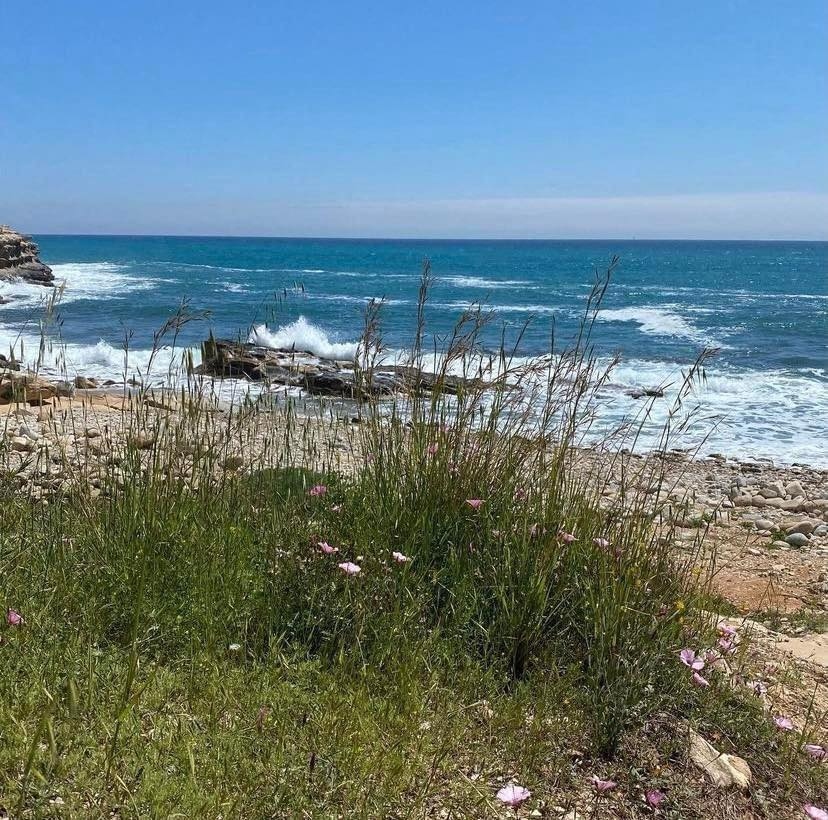 Visiting Cala Baladrar - Benissa Costa
