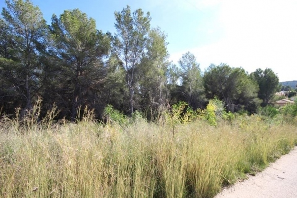 plot in Jávea