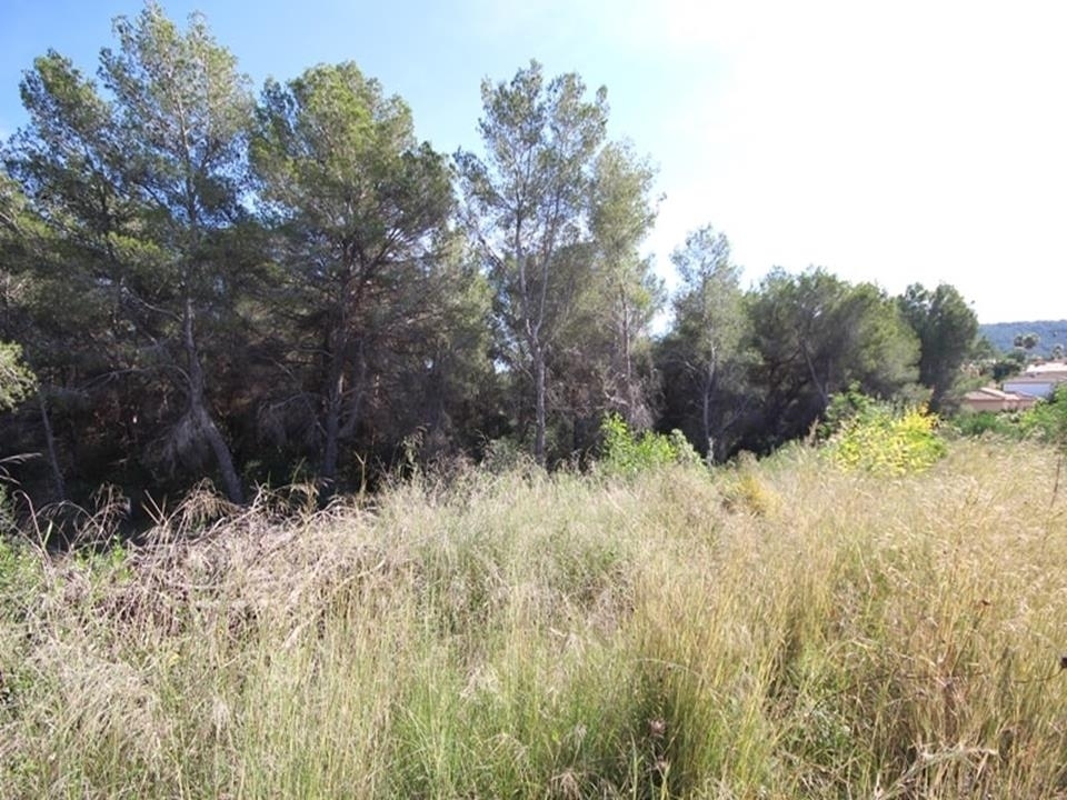plot in Jávea