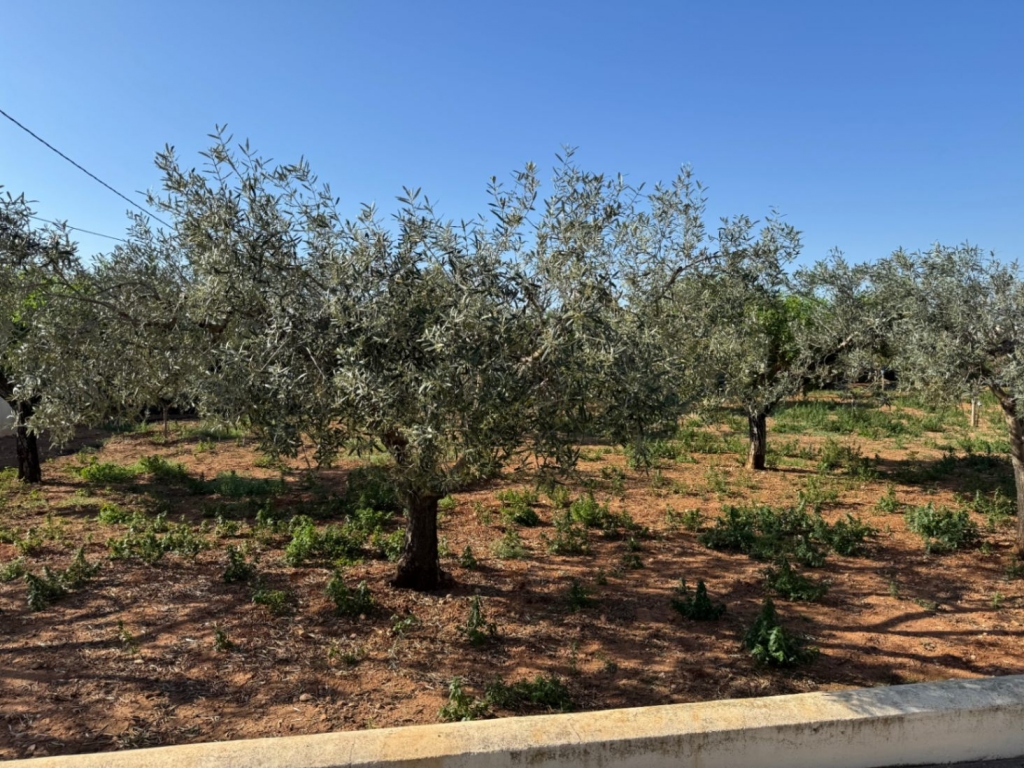 4 bed finca in Benissa
