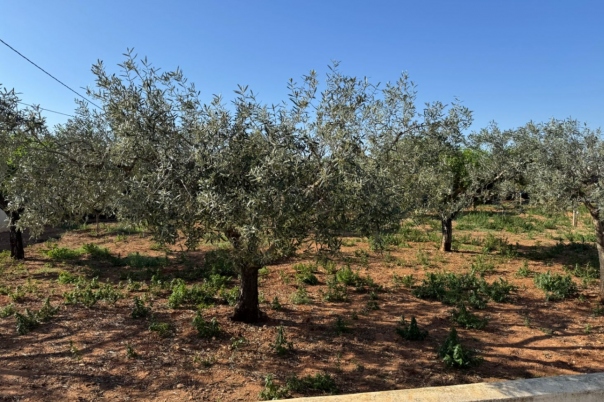 4 bed finca in Benissa
