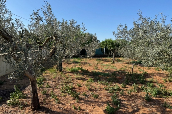 4 bed finca in Benissa
