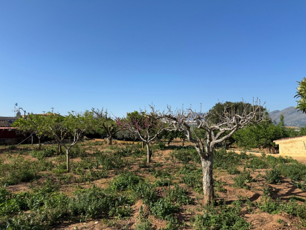 4 bed finca in Benissa