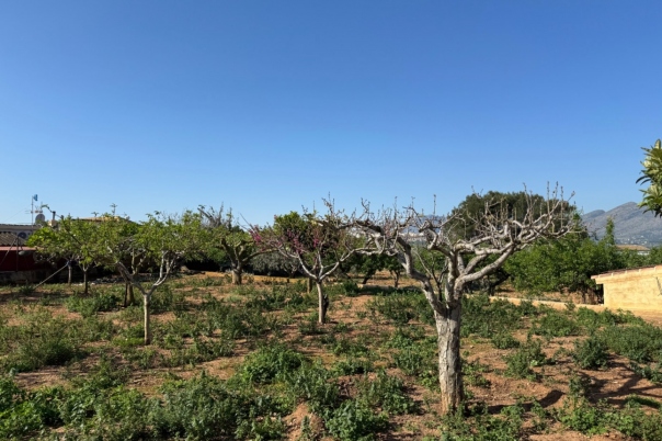 4 bed finca in Benissa