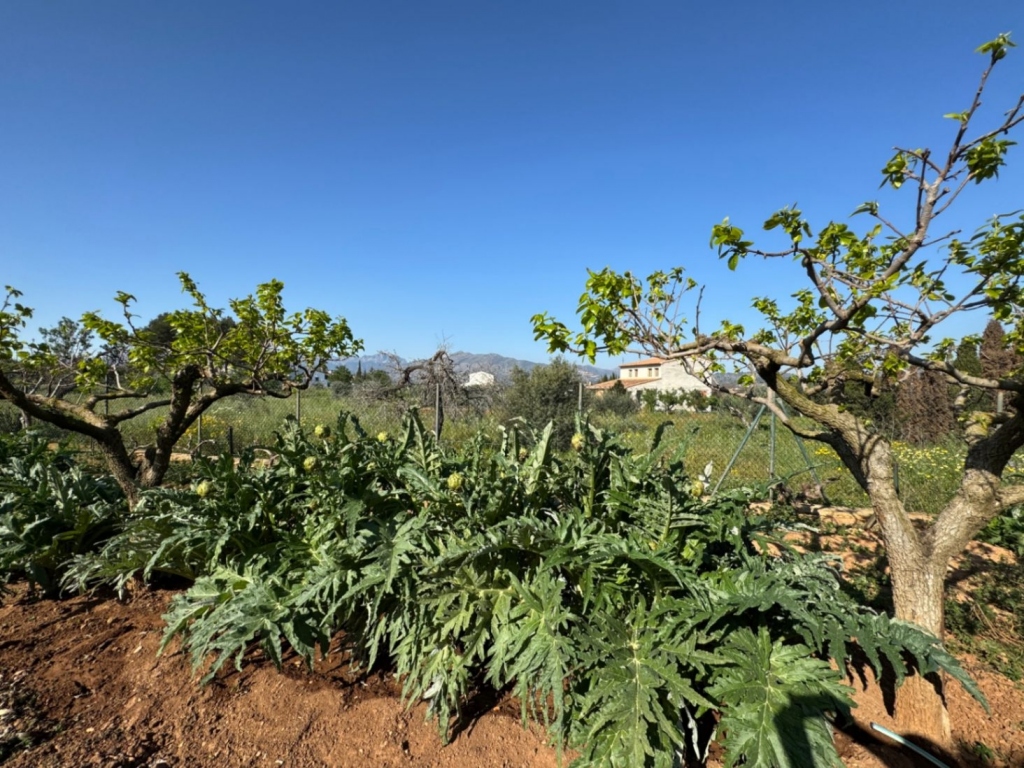 4 bed finca in Benissa