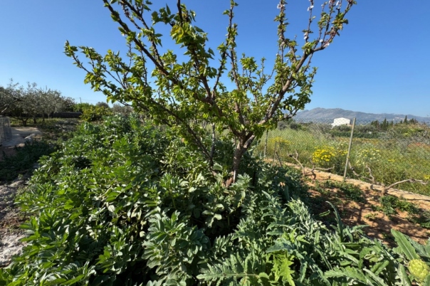 4 bed finca in Benissa