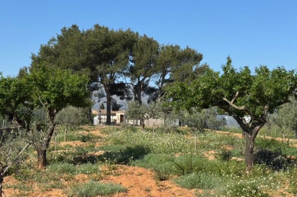 4 bed finca in Benissa