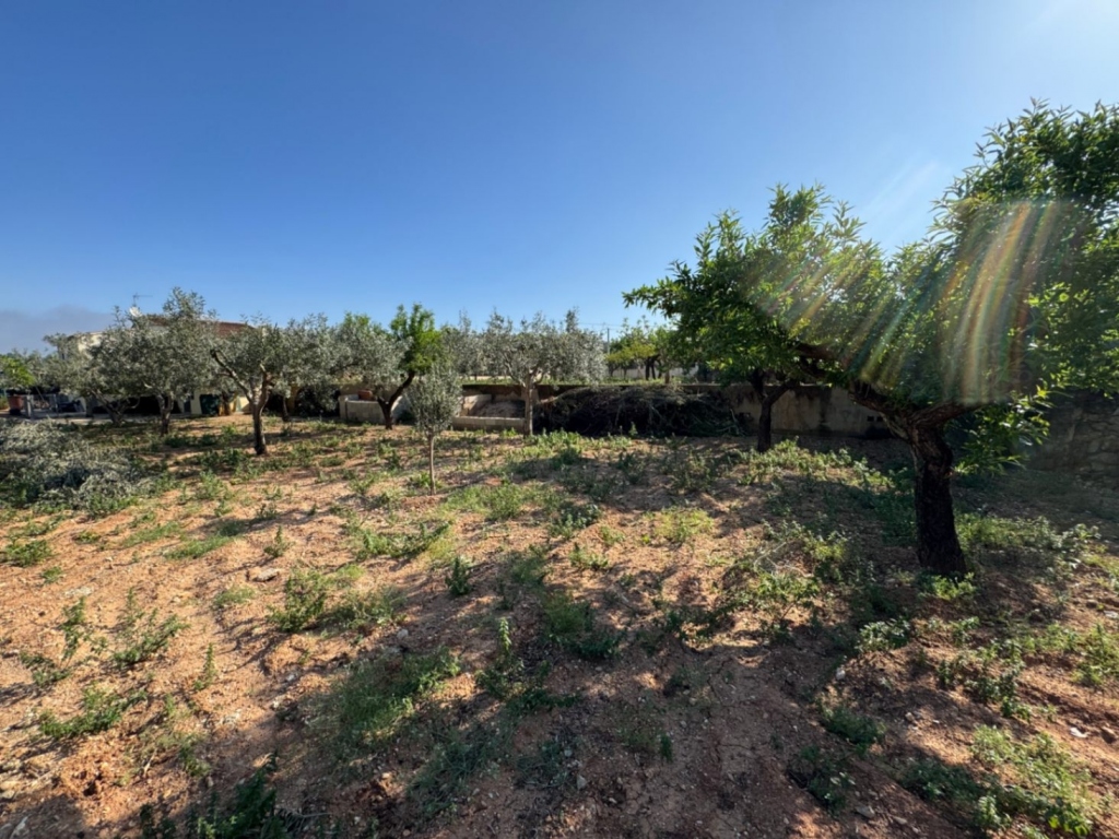 4 bed finca in Benissa