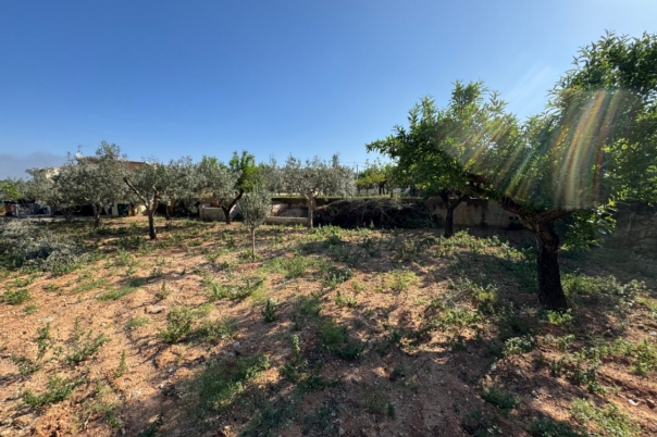 4 bed finca in Benissa