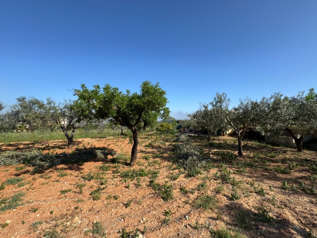 4 bed finca in Benissa