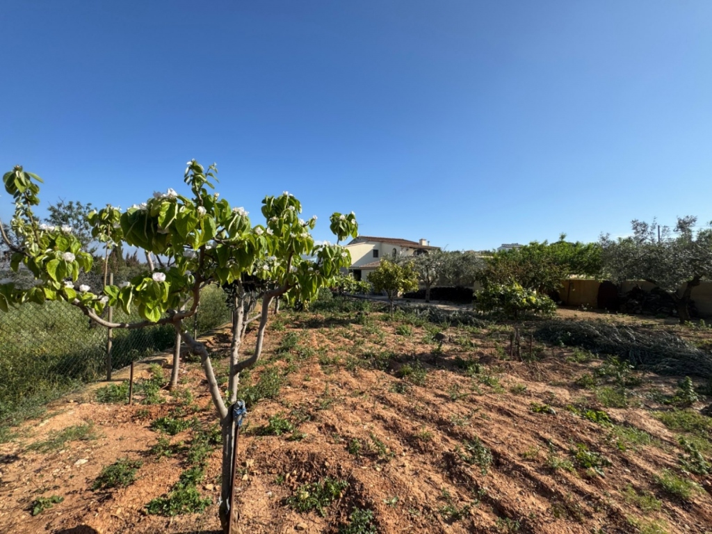 4 bed finca in Benissa