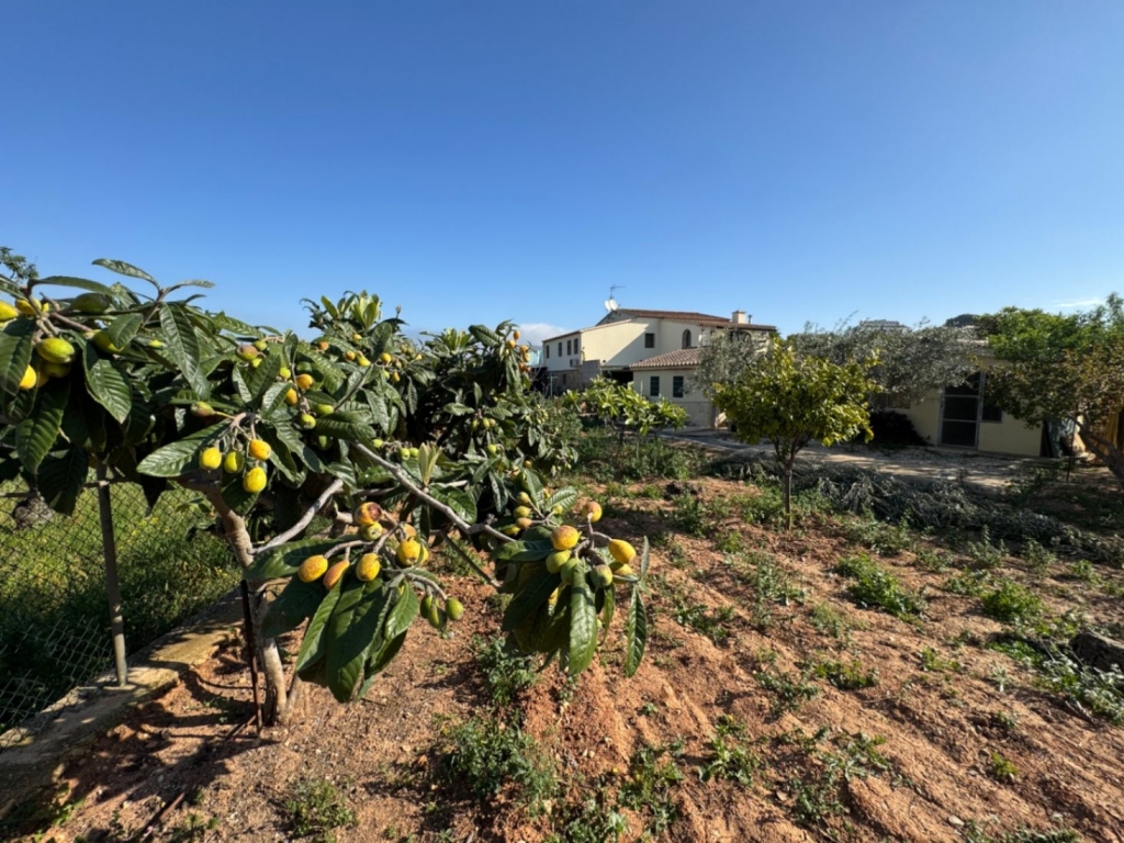 4 bed finca in Benissa