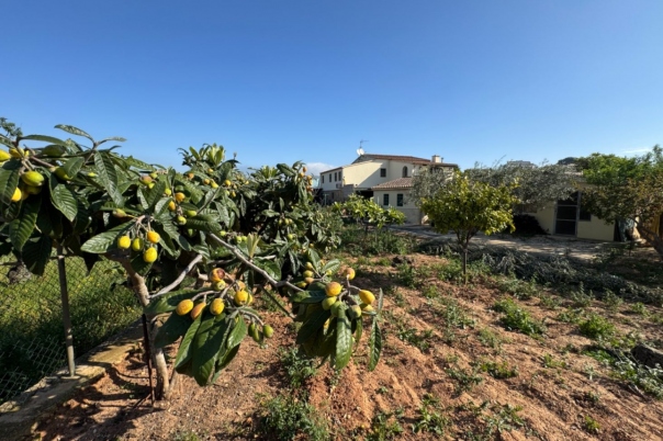 4 bed finca in Benissa