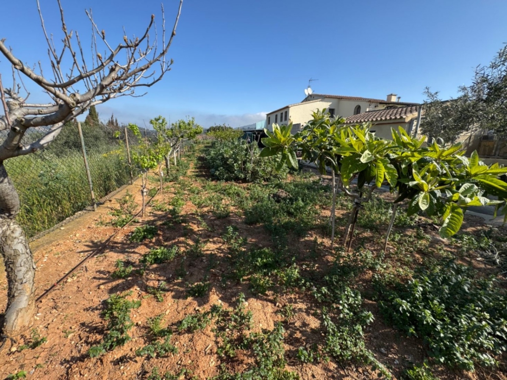 4 bed finca in Benissa