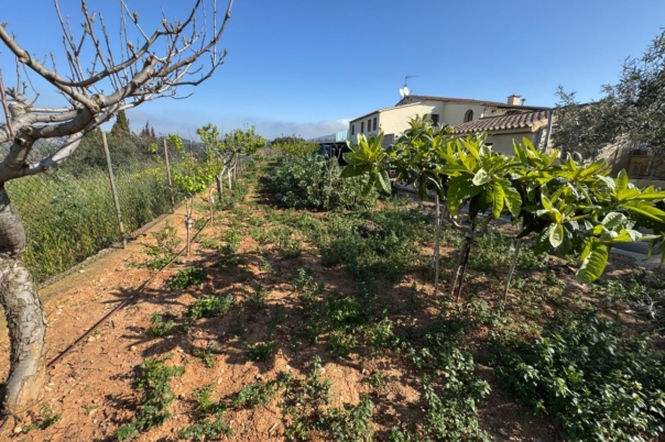 4 bed finca in Benissa
