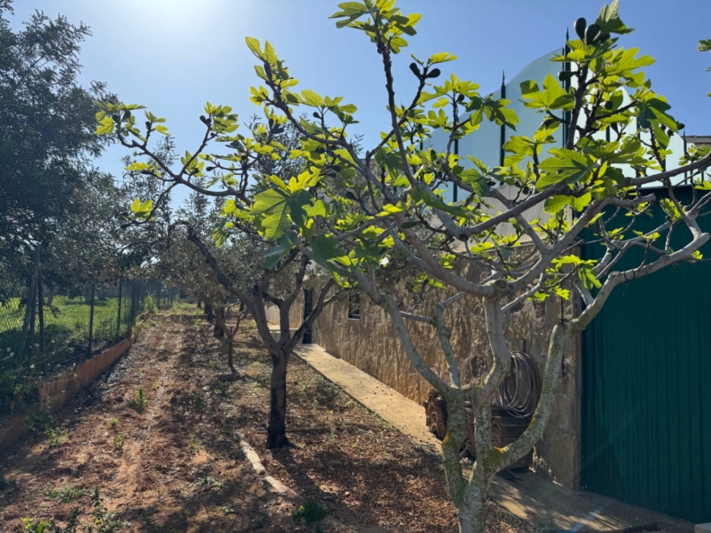 4 bed finca in Benissa
