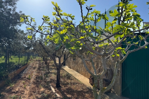 4 bed finca in Benissa
