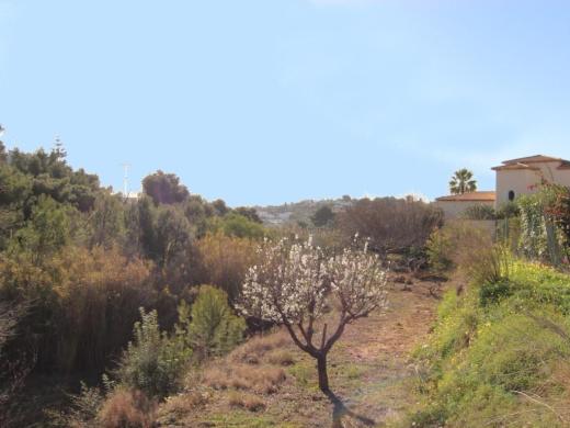 plot in Benissa