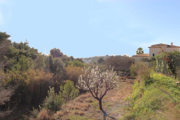 plot in Benissa