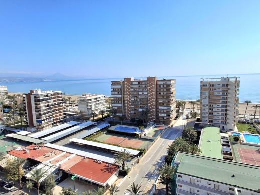2 bed apartment in Alicante/Alacant