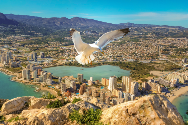 Living in Calpe All Year: The Real Pros and Cons