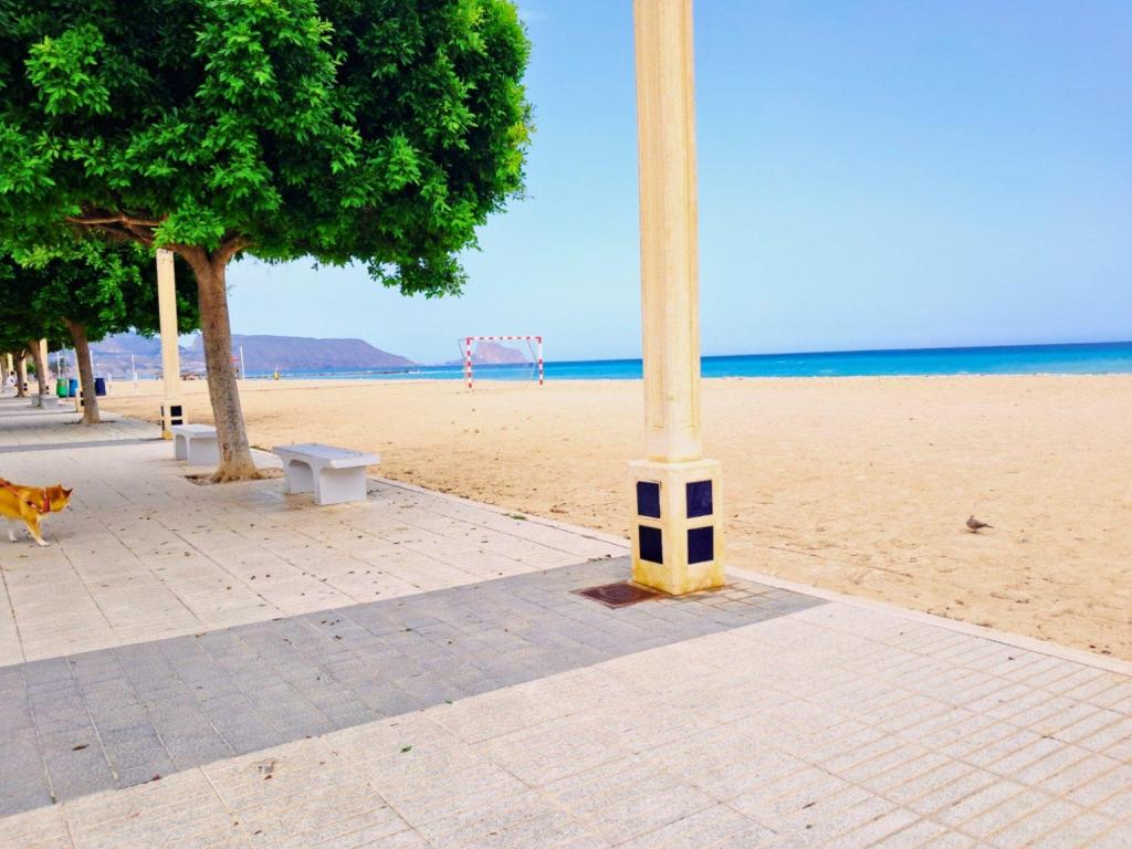 4 bed apartment in Altea