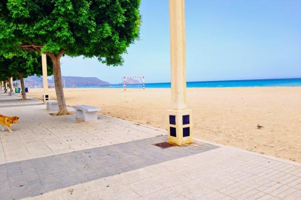 4 bed apartment in Altea