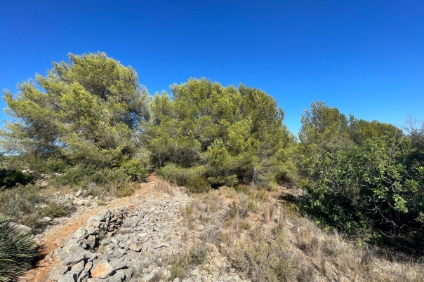 terreno in Benissa