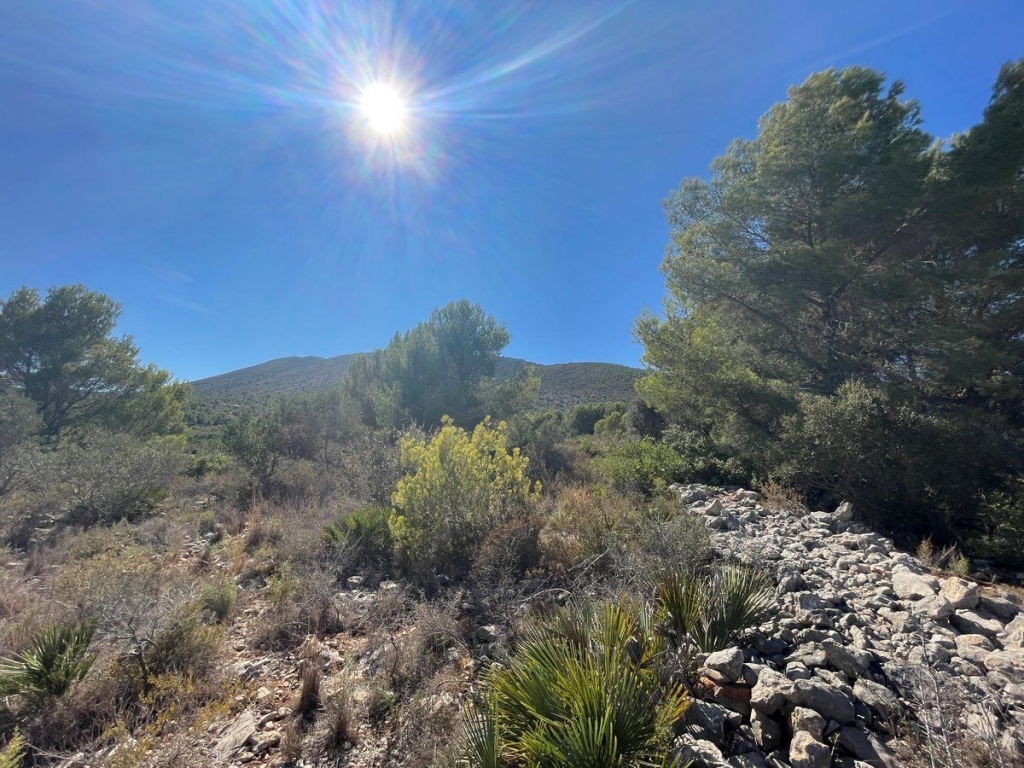 terreno in Benissa