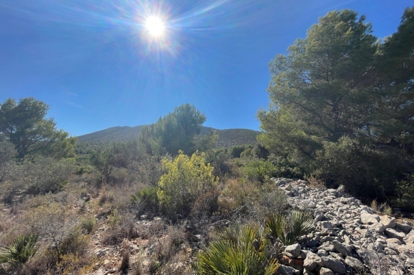 terreno in Benissa