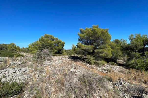 terreno in Benissa