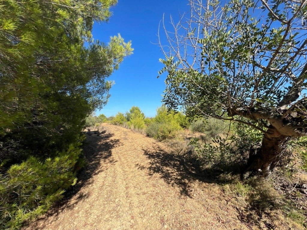 terreno in Benissa