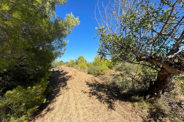 terreno in Benissa