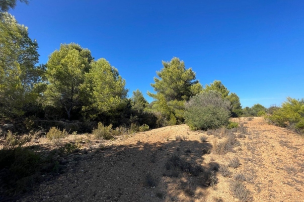 terreno in Benissa