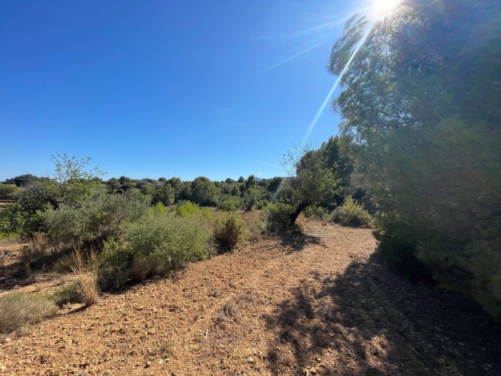 terreno in Benissa