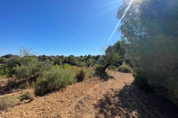 terreno in Benissa