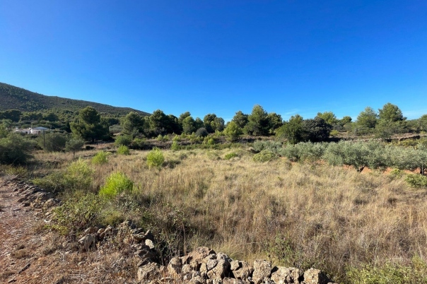 terreno in Benissa