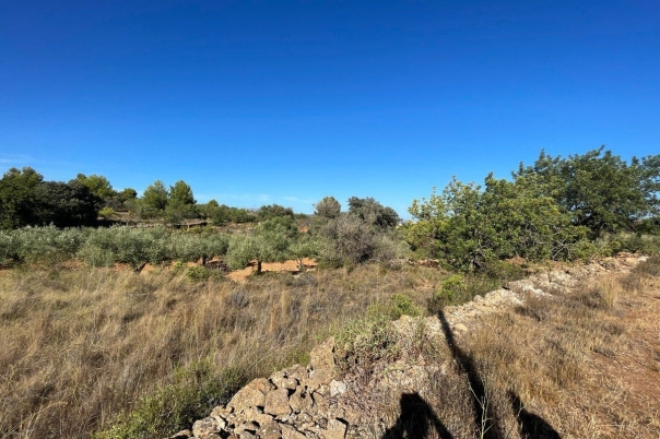 terreno in Benissa