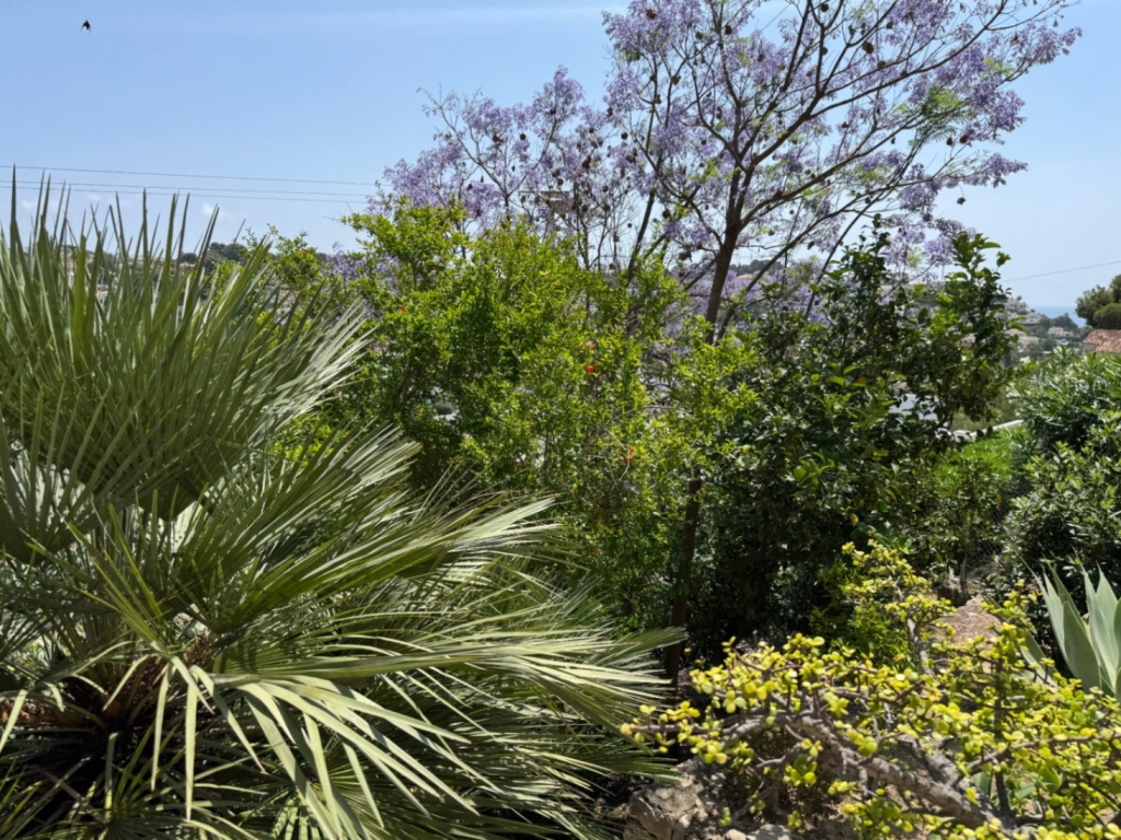 3 bed villa in Benissa
